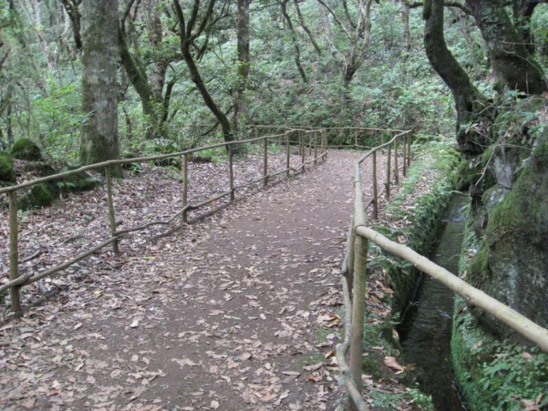 Queimadas Caldeirao Verde Full day hike - Who Is This Tour Best For?