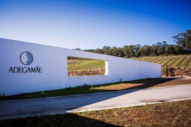 Queluz / Mafra / Ericeira / Adega Mãe Private tour - Who Is This Tour Best For?