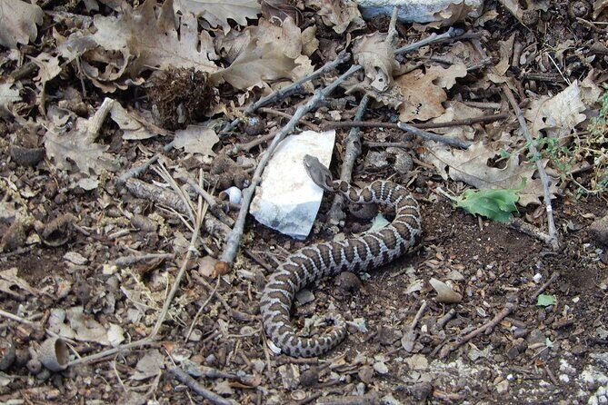 Querceti di Quasano: excursion in the Alta Murgia National Park - A Closer Look at the Tour Experience