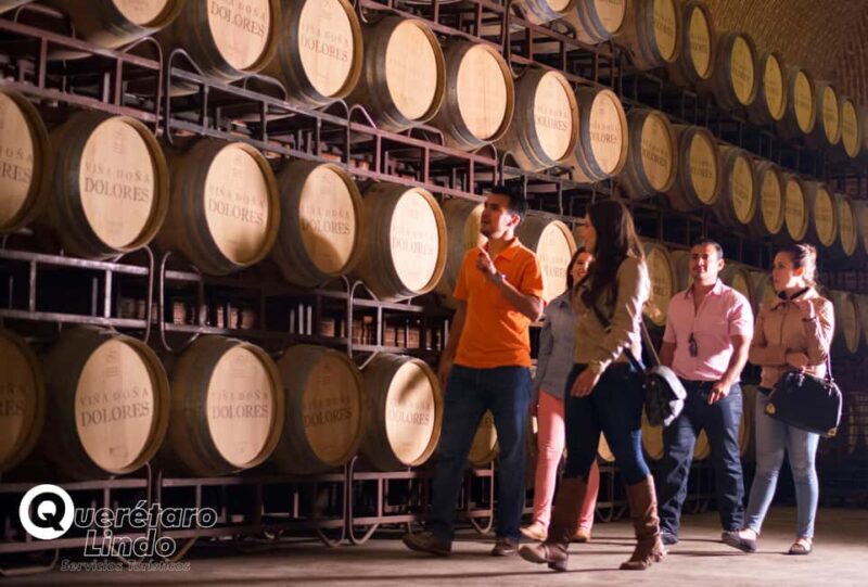 Querétaro: Art, Cheese and Wine Route - Who Is This Tour Best For?