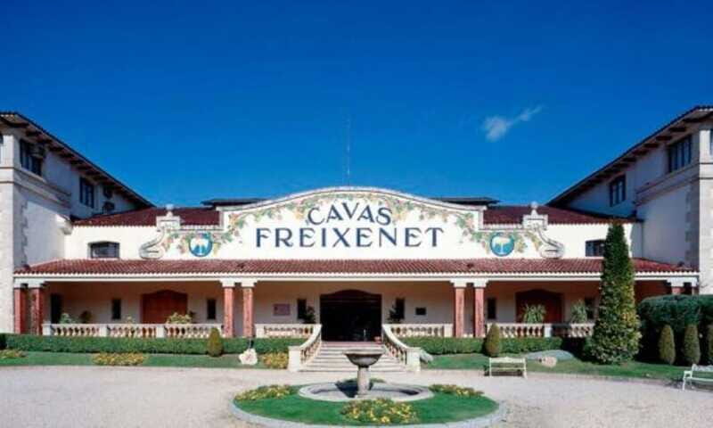 Querétaro: Cheese and Wine Tasting Tour - The Sum Up