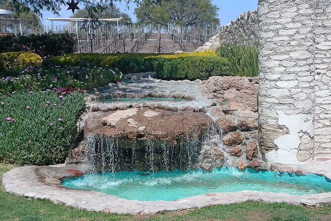 Queretaro Wine Experience - Who Is This Tour Best For?