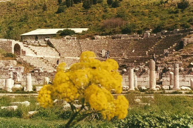 Quick-Ephesus Private Tour - A Deep Dive into the Tour Experience