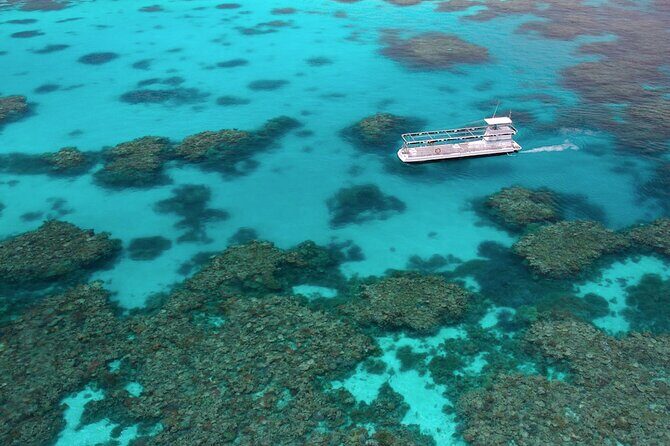 Quicksilver Great Barrier Reef Snorkel Cruise from Port Douglas - Final Thoughts