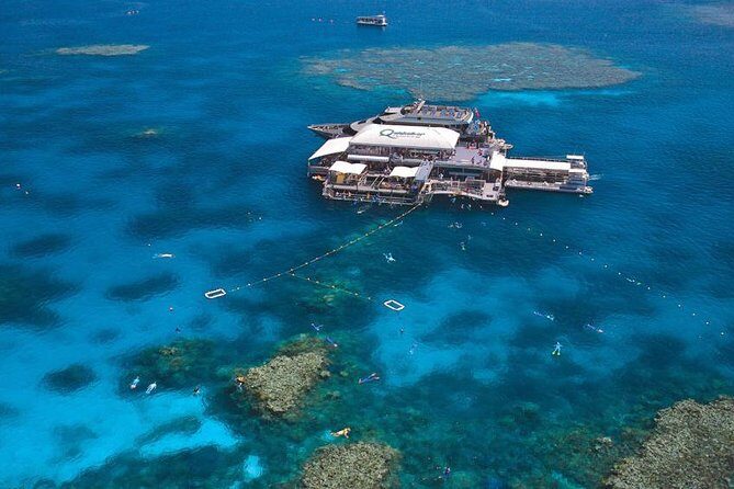 Quicksilver Outer Great Barrier Reef Snorkel Cruise from Palm Cove - Key Points