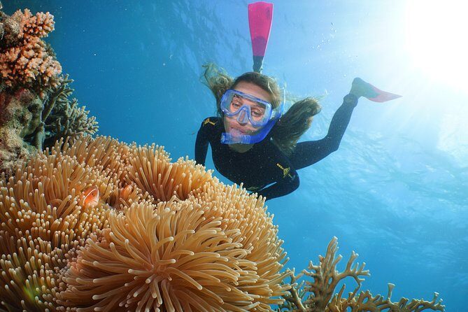 Quicksilver Outer Great Barrier Reef Snorkel Cruise from Palm Cove - The Comfort and Convenience