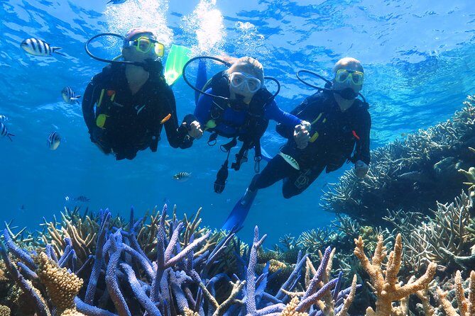 Quicksilver Outer Great Barrier Reef Snorkel Cruise from Palm Cove - FAQs