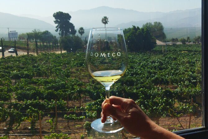 Quiero mas vino, valle de Guadalupe Tours - Final Thoughts