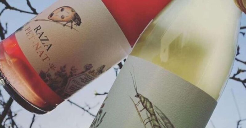 Quinta da Raza Natural Wines - Price and Value