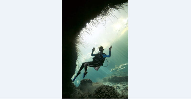 Quintana Roo: Cenote Dive - What to Expect from This Cenote Diving Tour
