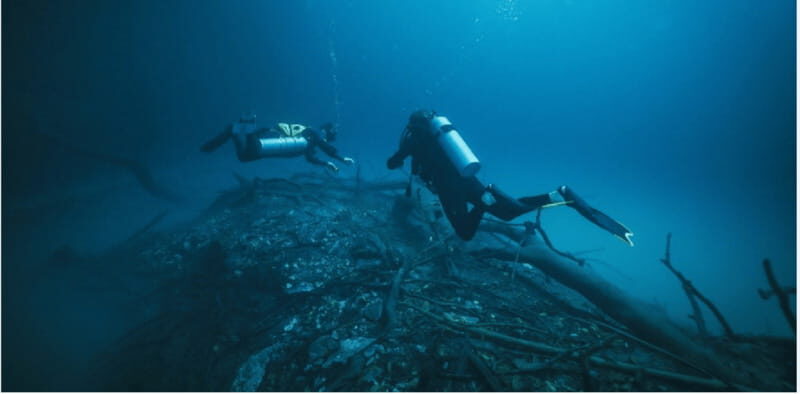 Quintana Roo: Cenote Dive - The Experience for Different Types of Travelers