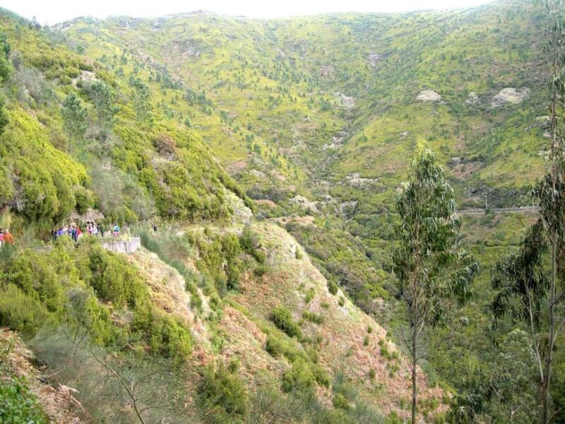 Rabaçal: 25 Fontes & Risco Levada Hiking Transfer - Introduction