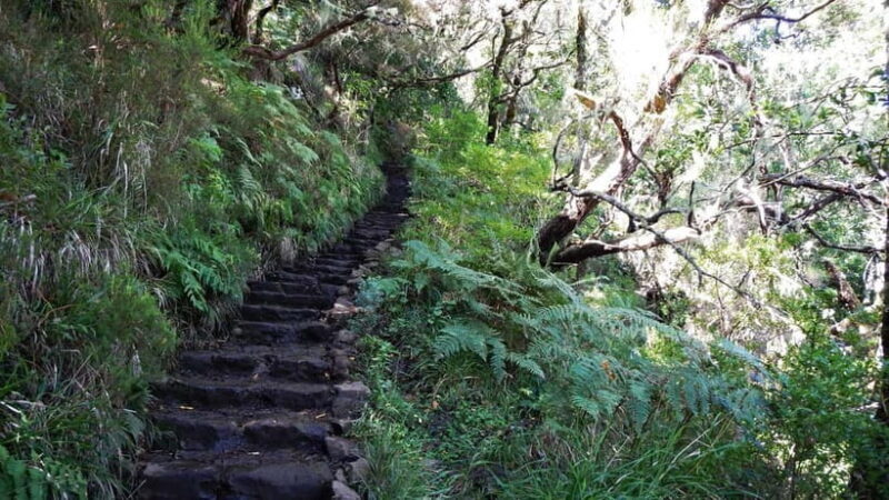 Rabaçal: 25 Fontes & Risco Levada Hiking Transfer - Key Points