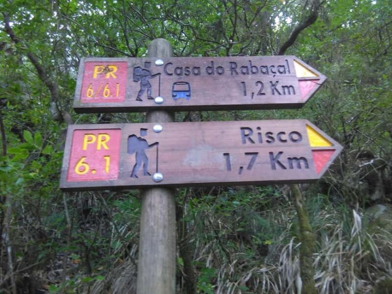 Rabaçal: 25 Fontes & Risco Levada Hiking Transfer - The Sum Up