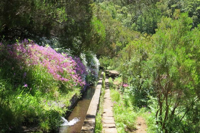 Rabaçal: 25 Fontes & Risco Levada Hiking Transfer - 25 Fontes viewpoint: your big waterfall moment