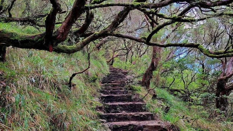 Rabaçal: 25 Fontes & Risco Levada Hiking Transfer - Casa do Rabaçal café: the smart break in the middle