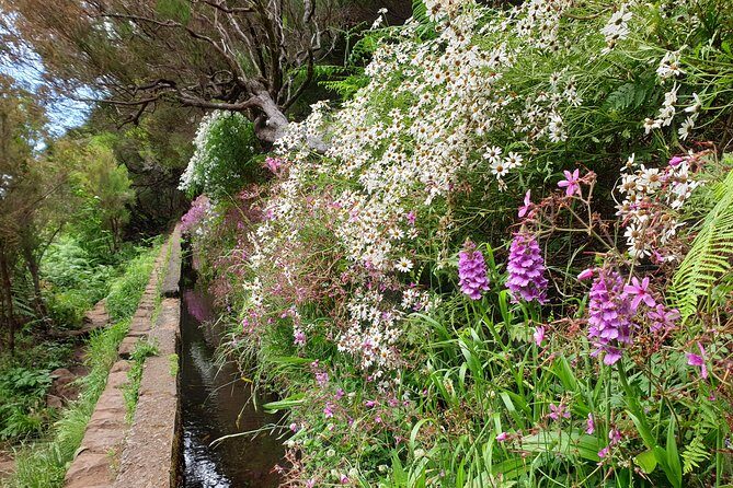 Rabaçal - 25 Fonts - Key Points