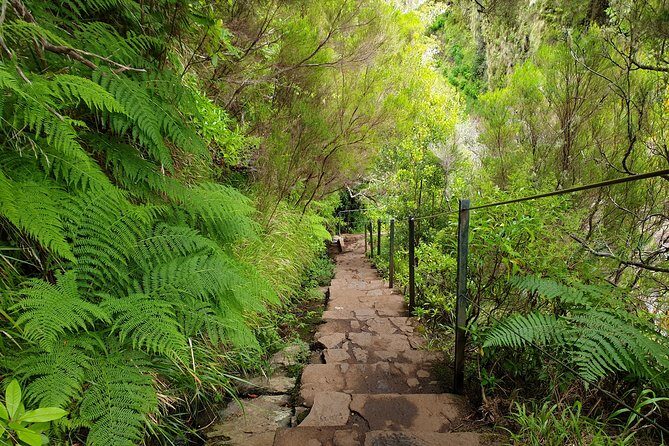 Rabaçal - 25 Fonts - An Introduction to the Rabaçal - 25 Fonts Tour