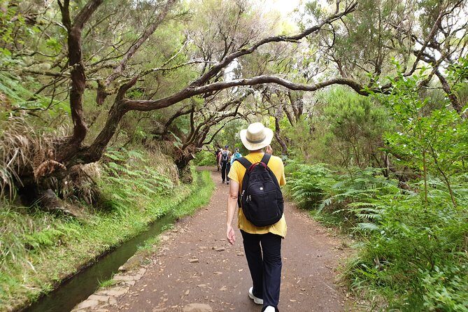 Rabaçal - 25 Fonts - The Experience in Detail