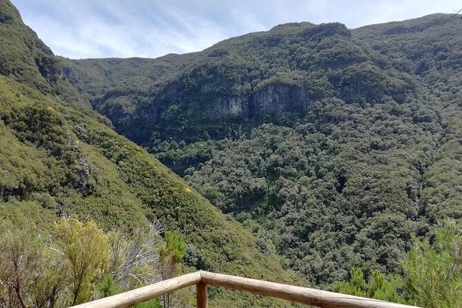 Rabaçal - 25 Fonts - The Sum Up