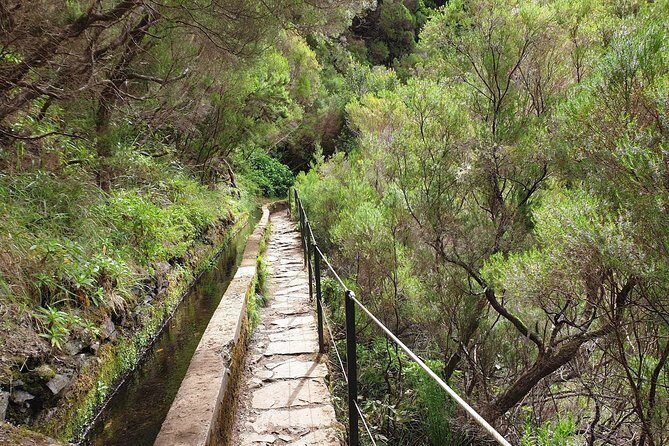 Rabaçal - 25 Fonts - FAQs