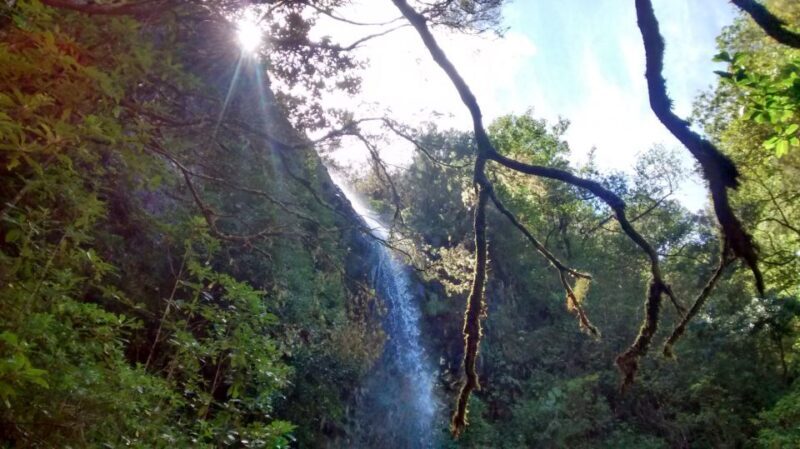 Rabaçal: Lagoa do Vento, Levada Risco and Levada 25 Fontes - Key Points