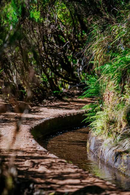 Rabaçal Nature Experience: Alecrim & Lagoa do Vento Hike - Discovering Rabaçal: An Authentic Madeira Experience