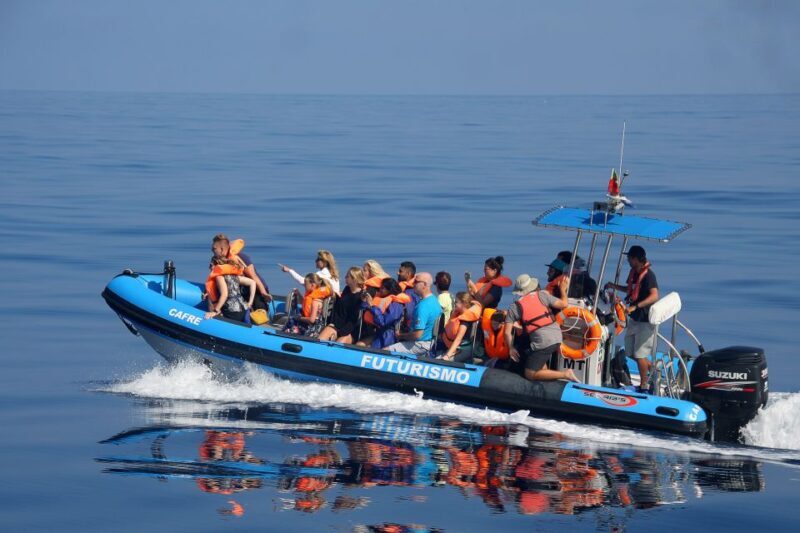 Rabo de Peixe: Sperm Whale Sanctuary Expedition - Final Thoughts