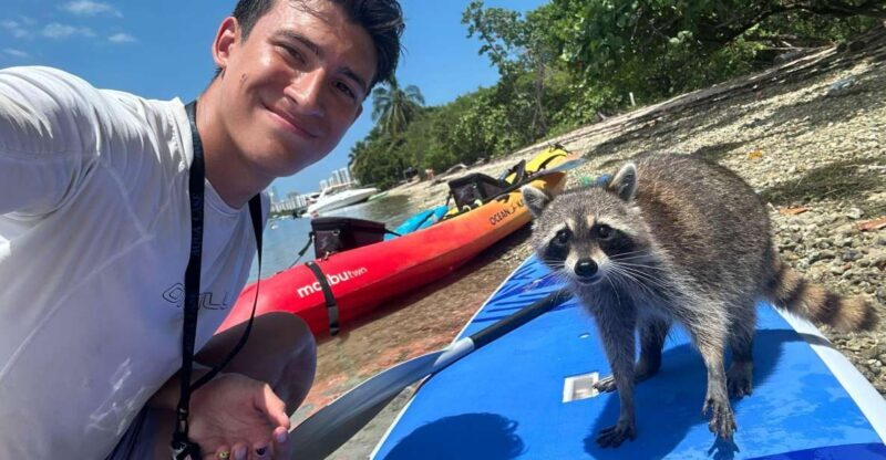 Raccoon Island: Exploration on SUP/Kayak - FAQs