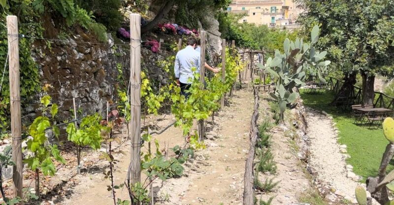 Radici: IImmerse yourself in the heady scents of our garden - Key Points