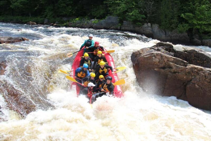 Rafting in Quebec City: A half-day of adventure and thrills! - Key Points