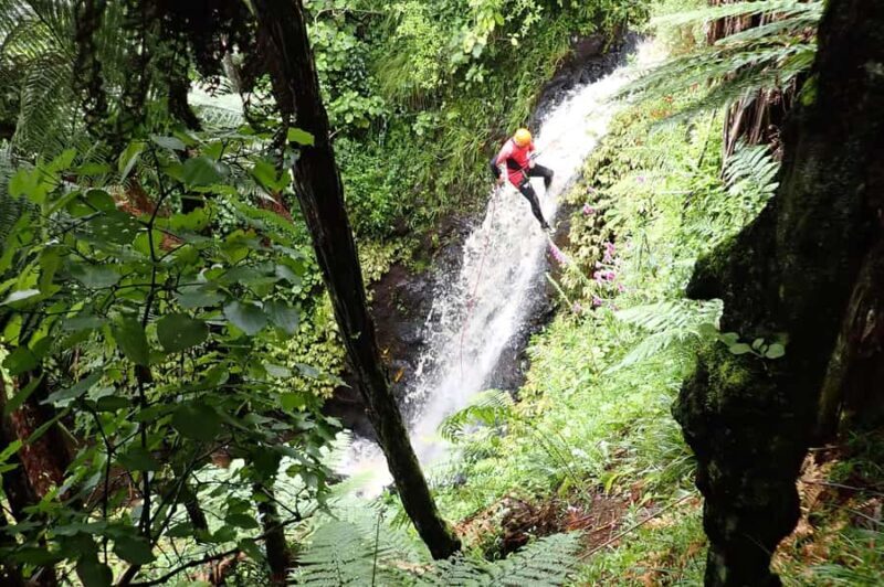 Raglan: Karioi Canyoning - Who Should Consider This Tour?