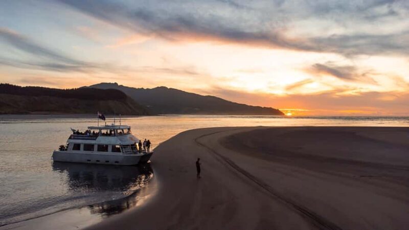 Raglan: Scenic Harbour Sunset Cruise - The Experience in Detail
