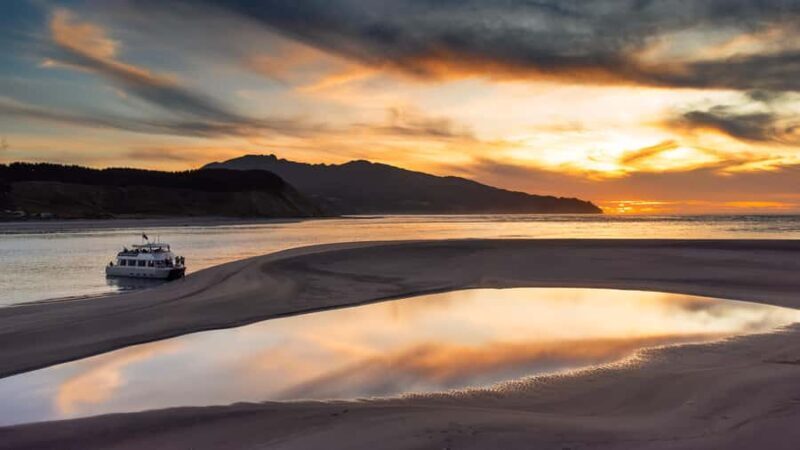 Raglan: Scenic Harbour Sunset Cruise - What the Reviews Say