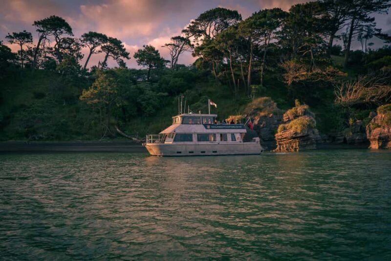 Raglan: Scenic Nature Boat Cruise - Key Points