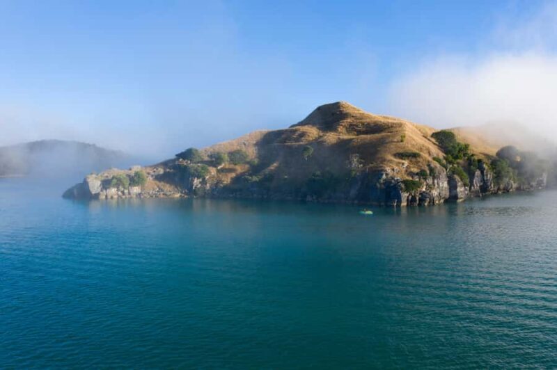 Raglan: Scenic Nature Boat Cruise - Exploring Raglan by Boat: What to Expect