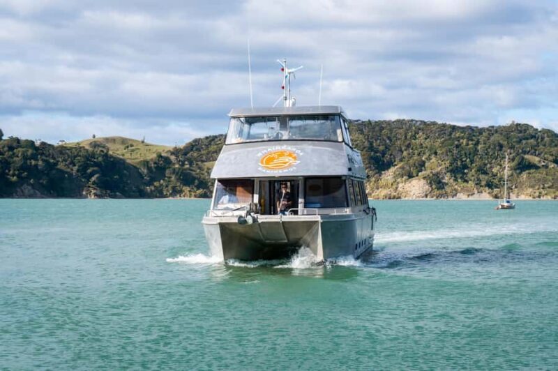 Raglan: Scenic Nature Boat Cruise - Price and Value