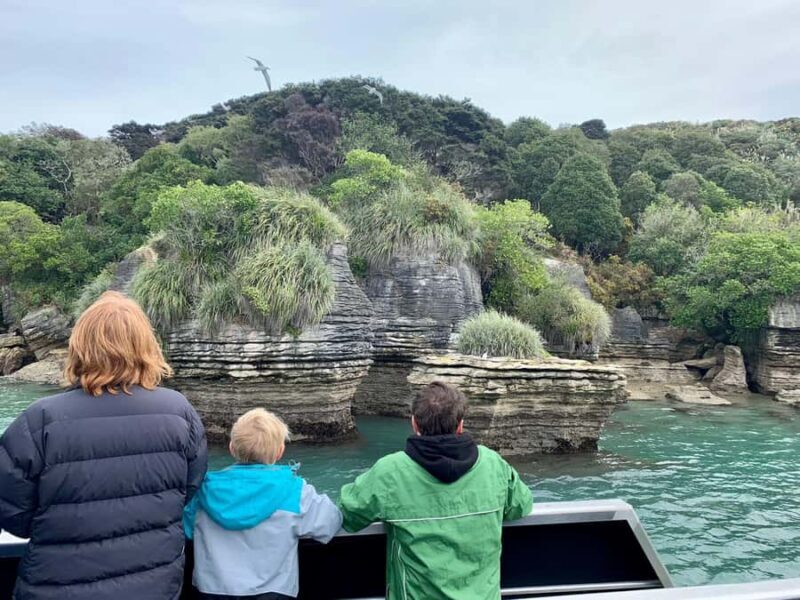 Raglan: Scenic Nature Boat Cruise - Who Would Love This?