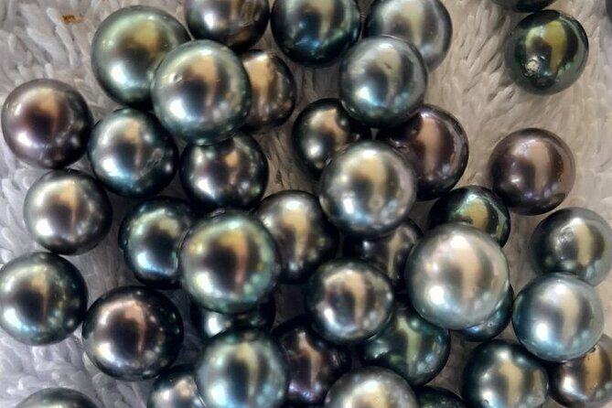 Raiatea-Tahaa Snorkeling in our beautiful Coral Garden - Final Thoughts