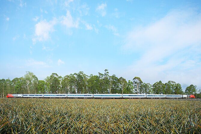 Railbed Brisbane to Cairns Train+Great Barrier Reef Day Tour - Cost and Value: Is It Worth It?