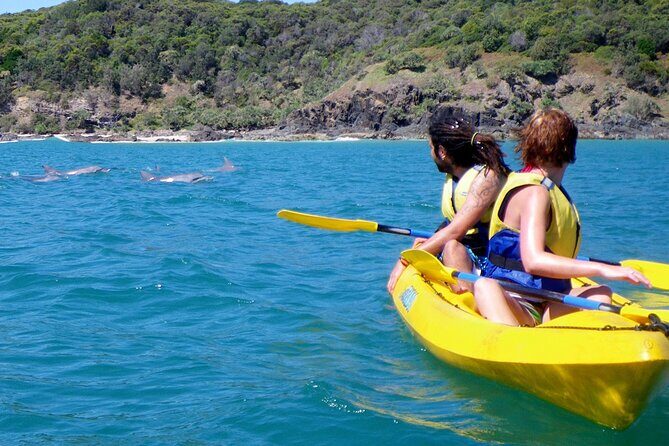 Rainbow Beach: Dolphin & Wildlife Ocean Kayak & Beach 4WD Tour - What makes this tour special?