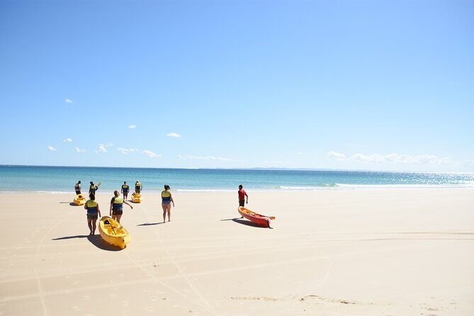 Rainbow Beach: Dolphin & Wildlife Ocean Kayak & Beach 4WD Tour - Wildlife encounters