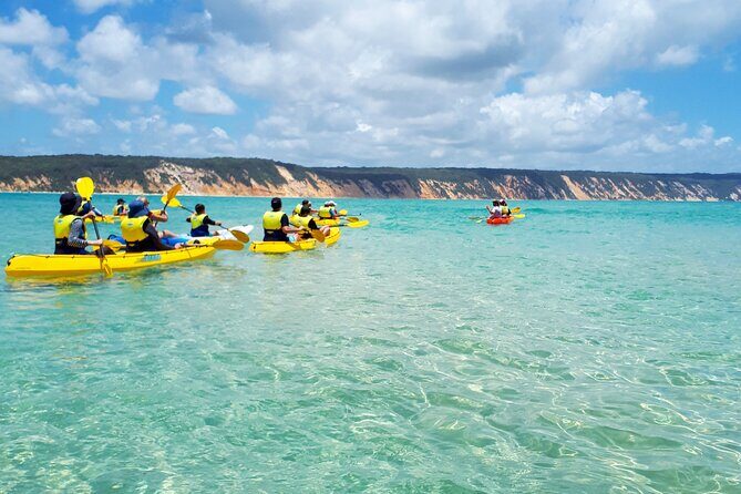 Rainbow Beach: Dolphin & Wildlife Ocean Kayak & Beach 4WD Tour - The value of the inclusions