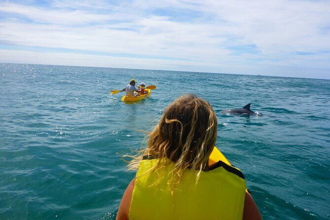 Rainbow Beach: Dolphin & Wildlife Ocean Kayak & Beach 4WD Tour - Logistics and timing