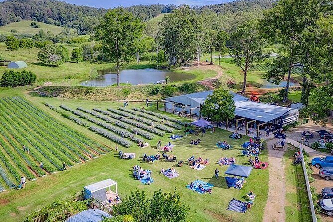 Rainbow Beach Private Tour with Lunch, Carlo Sandblow & Cooloola - The Experience: Breaking Down the Day
