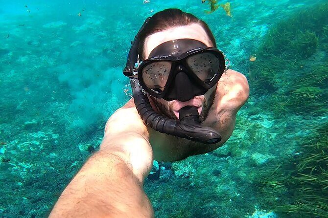 Rainbow River: 8AM & 3PM Snorkel or Scenic Wildlife Cruise - What Does the Tour Include?