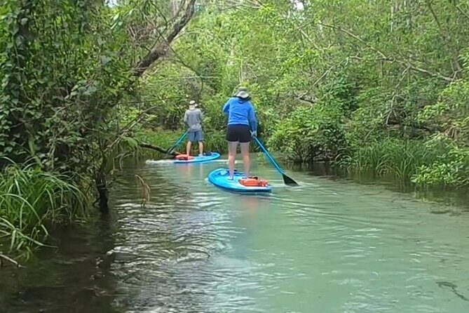 Rainbow River: 8AM & 3PM Snorkel or Scenic Wildlife Cruise - Who Should Consider This Tour?