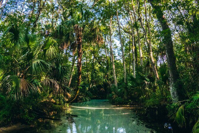 Rainbow Springs: Clear Kayak & Snorkel Eco Tour - Who Will Love This Tour?
