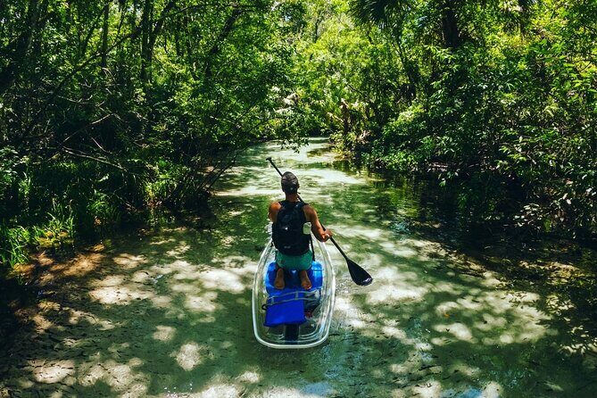 Rainbow Springs: Clear Kayak & Snorkel Eco Tour - Final Thoughts