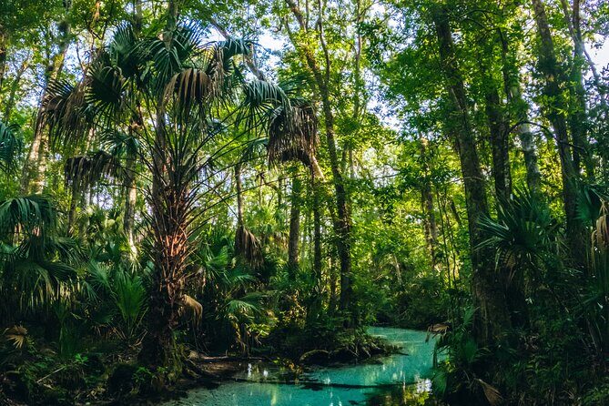 Rainbow Springs: Clear Kayak & Snorkel Eco Tour - FAQs